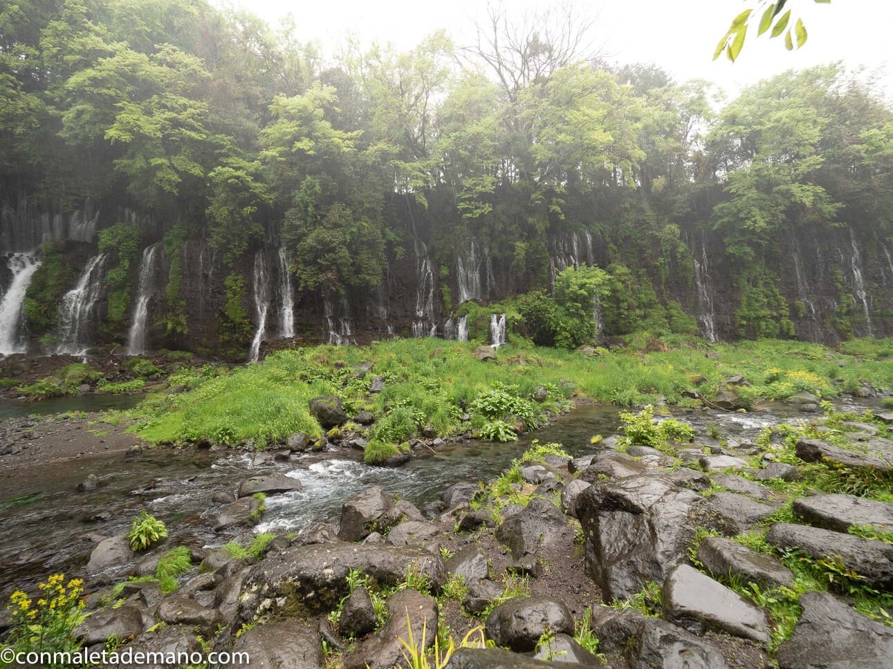 Día 4: Excursión a los 5 Lagos del Fuji con Turismo Victoria