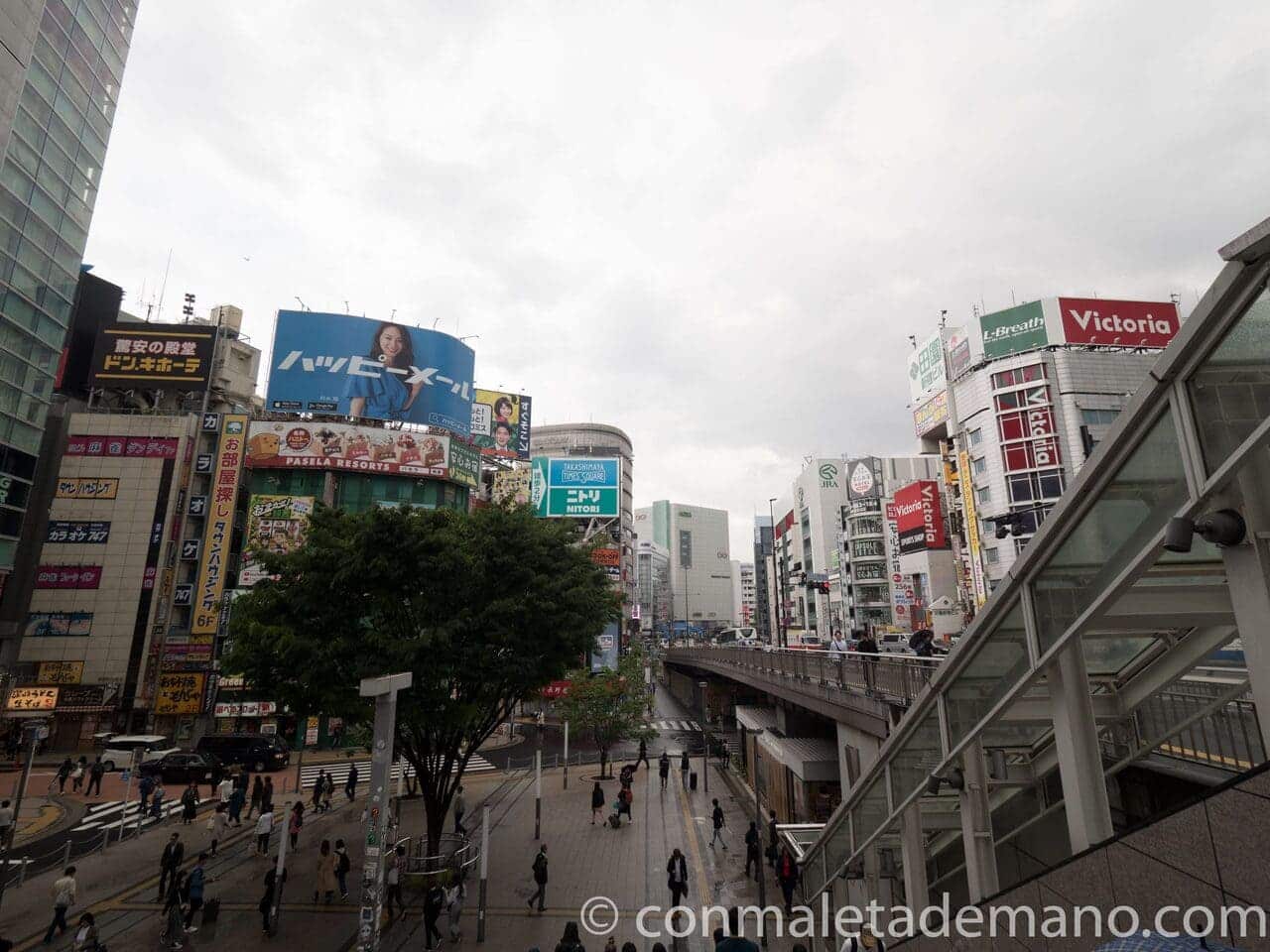 Día 6: El barrio de Shinjuku, en Tokyo