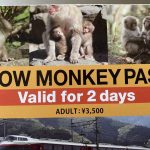 Snow Monkey Pass