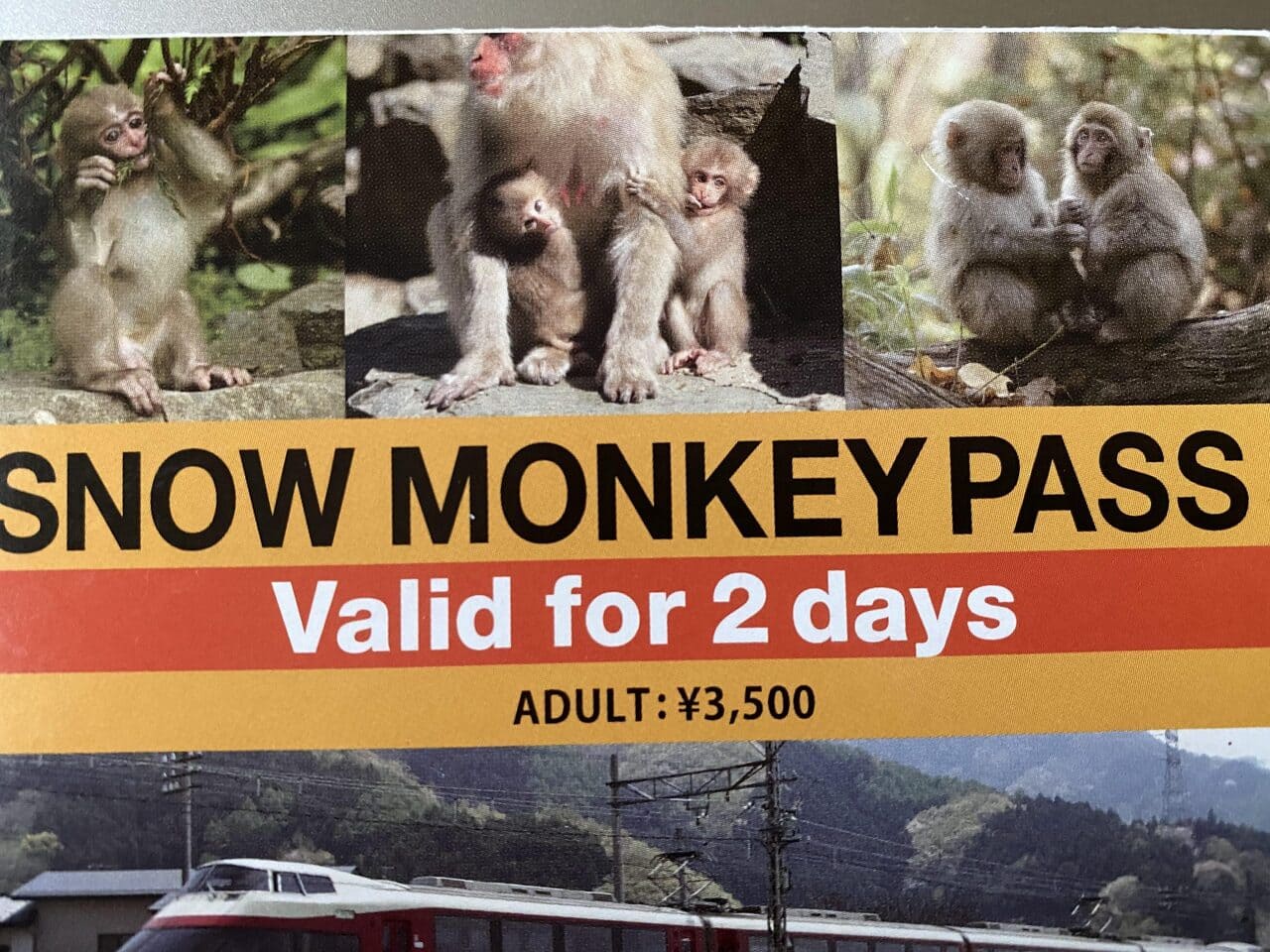 El Snow Monkey Pass, para visitar Jigokudani