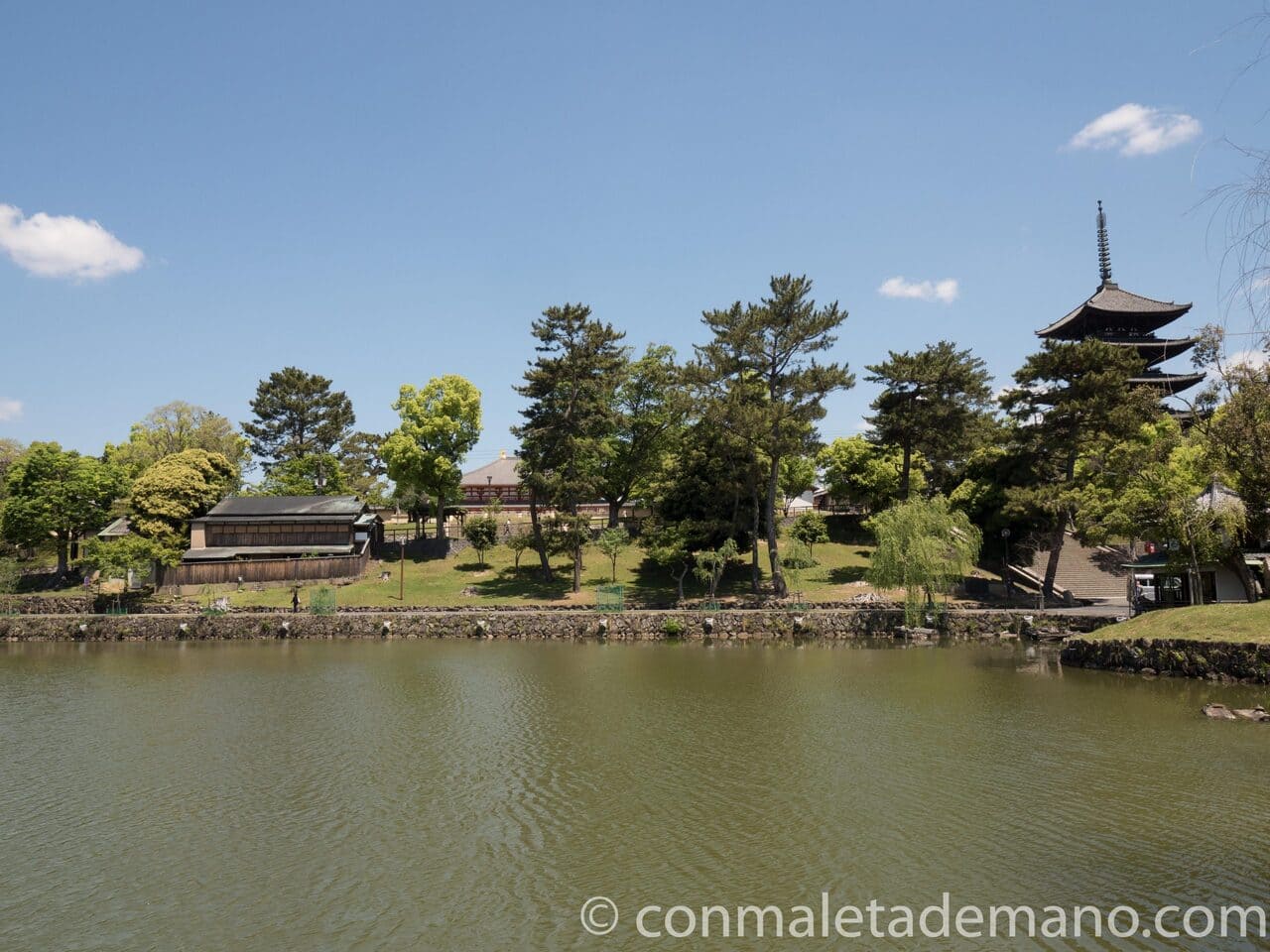Cómo moverte por Nara