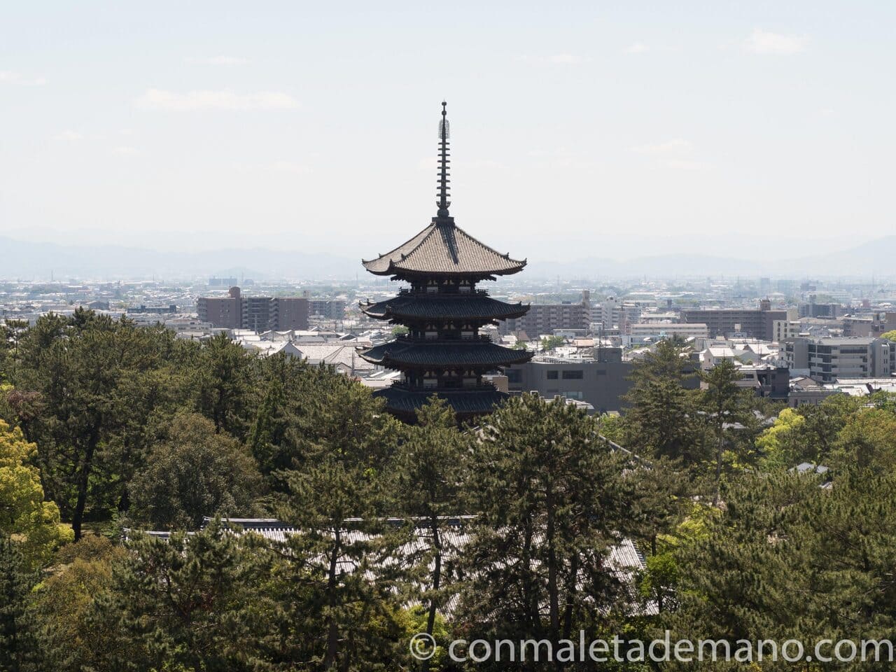 Día 11: Nara, Uji y Fushimi Inari
