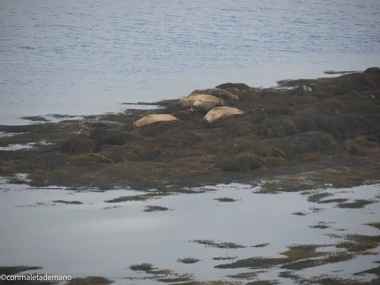 Seal View B&B, en Berneray