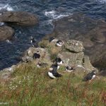 Isla de Lunga, en el Wildlife Tour