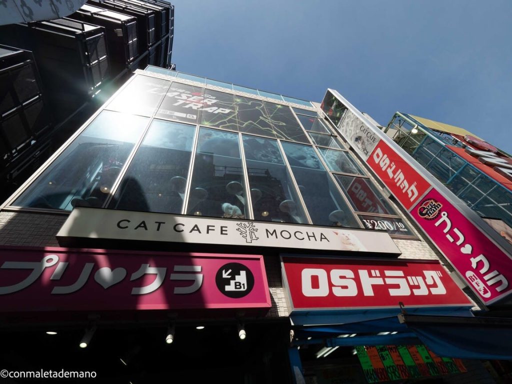 Cat Café en el barrio de Harakuru