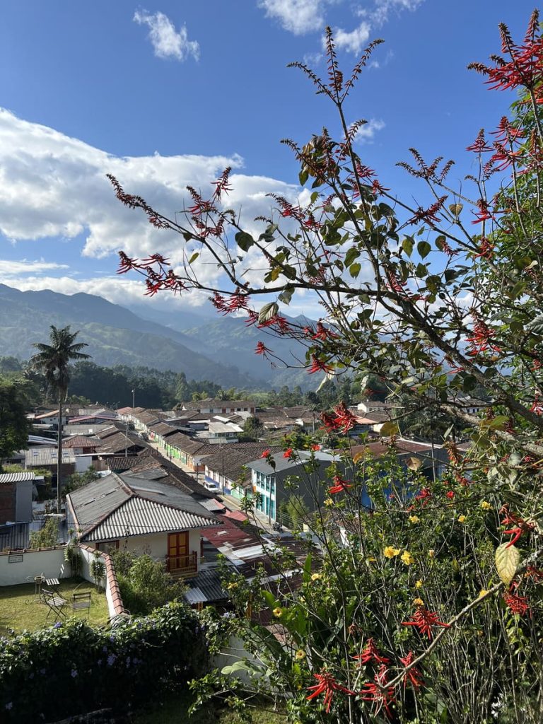 Vistas desde nuestra habitación