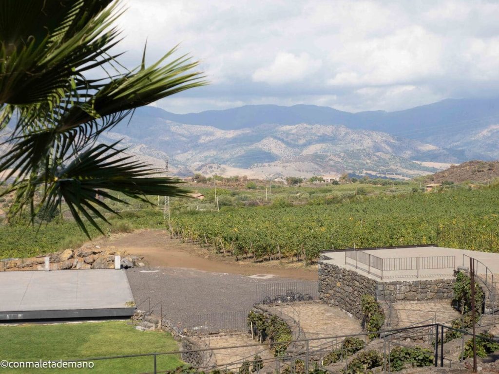 Viñedos en el Etna